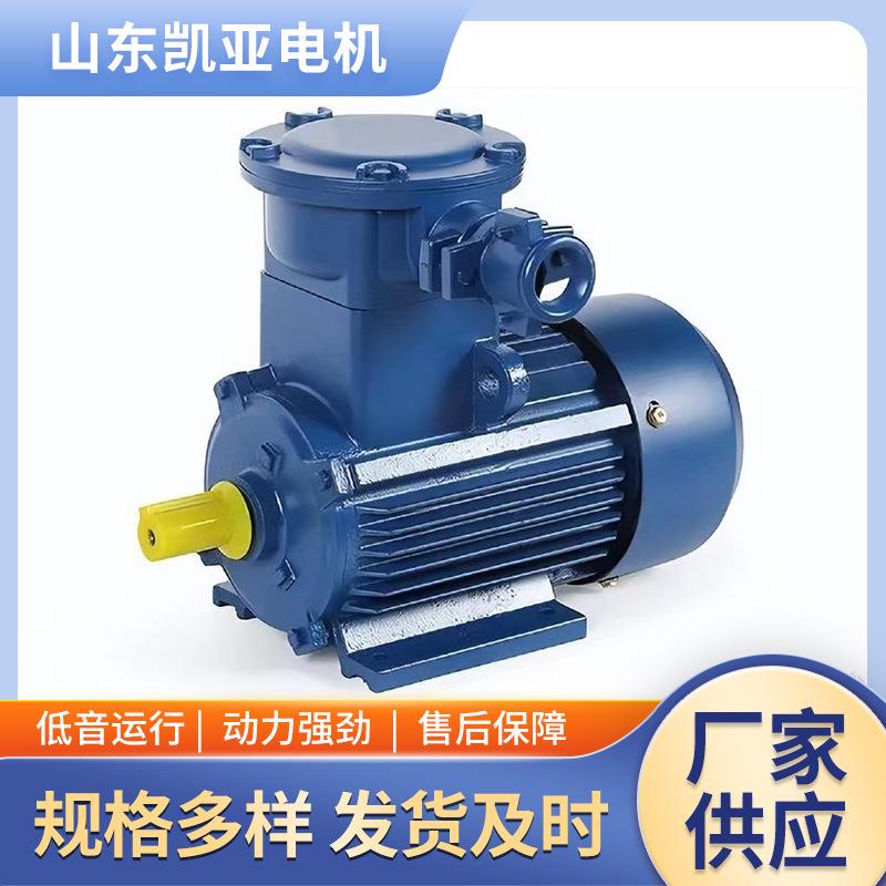 隔爆型兼粉尘防爆高效率防爆电动YBX4-YBX5-YBBP多种规格可以定