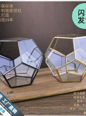 厂家直销中爆CSM-H018十二面体璃款花房绿植透明玻创意苔藓微景观