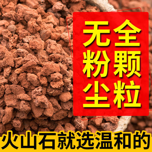 火山岩兰花多山石颗粒栽培基质