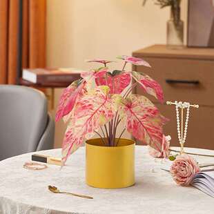 仿真绿植盆栽芋头彩色客厅室内摆件装 饰仿生北欧风水芋t造景绿植