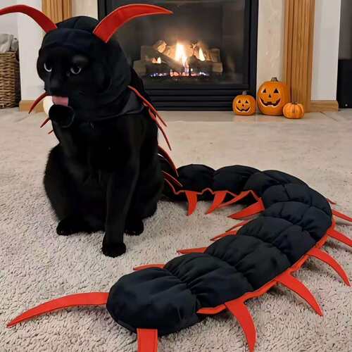 猫咪蜈蚣衣服头套万圣节cosplay装扮道具宠物头饰品可调节魔术贴