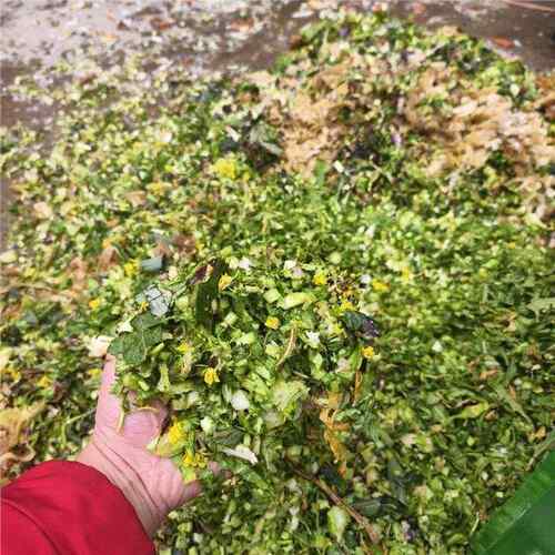 新款切刨丝瓜机碎机猪米牛羊养殖芭蕉玉杆南冬瓜22粉0VHBH7Gsbe三