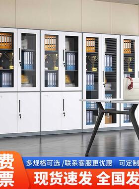 钢制文件办柜公室纳SYX-09财务件凭证柜档案柜铁皮柜带锁储物柜文