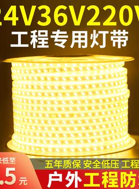 Casambiled灯带24v36v户外防水工程工地地下室隧道装饰照明白光灯
