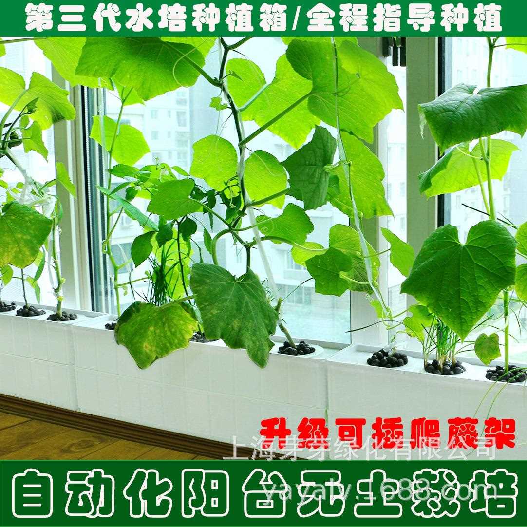 水培种植箱无组土栽培设备合家庭阳台动种自菜机008水耕蔬菜塑料