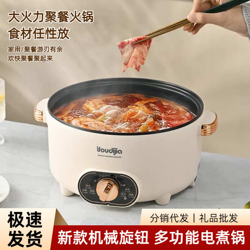 电煮锅1-2人多功能一体锅宿舍学生锅小电锅迷你泡面锅电火锅3-4