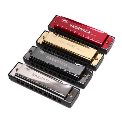 10 Hole Harmonica Mouth Organ Puzzle Musical Instrument Begi