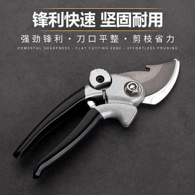 进口修枝剪剪枝剪刀树枝专用剪子果树摘果园林园艺剪刀大号剪粗枝