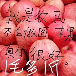 正宗山东烟台红富士苹果新鲜水果9斤当季整箱栖霞脆甜苹果10包邮