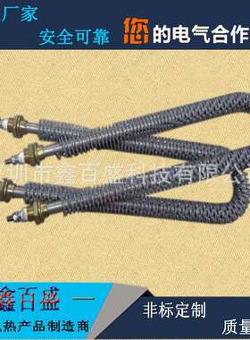 U型型W型L型直不锈钢干烧翅片电加XBS-BXGC热管高温干燥箱烤箱加