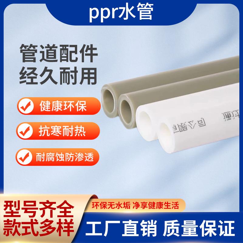 ppr冷热水管4分20自来水管家用热熔管材管件6分25 32 40水管接头