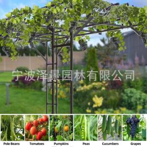 户外庭院花园架爬藤百香果铁艺攀爬花花架坛/花果蔬水果萄支撑葡