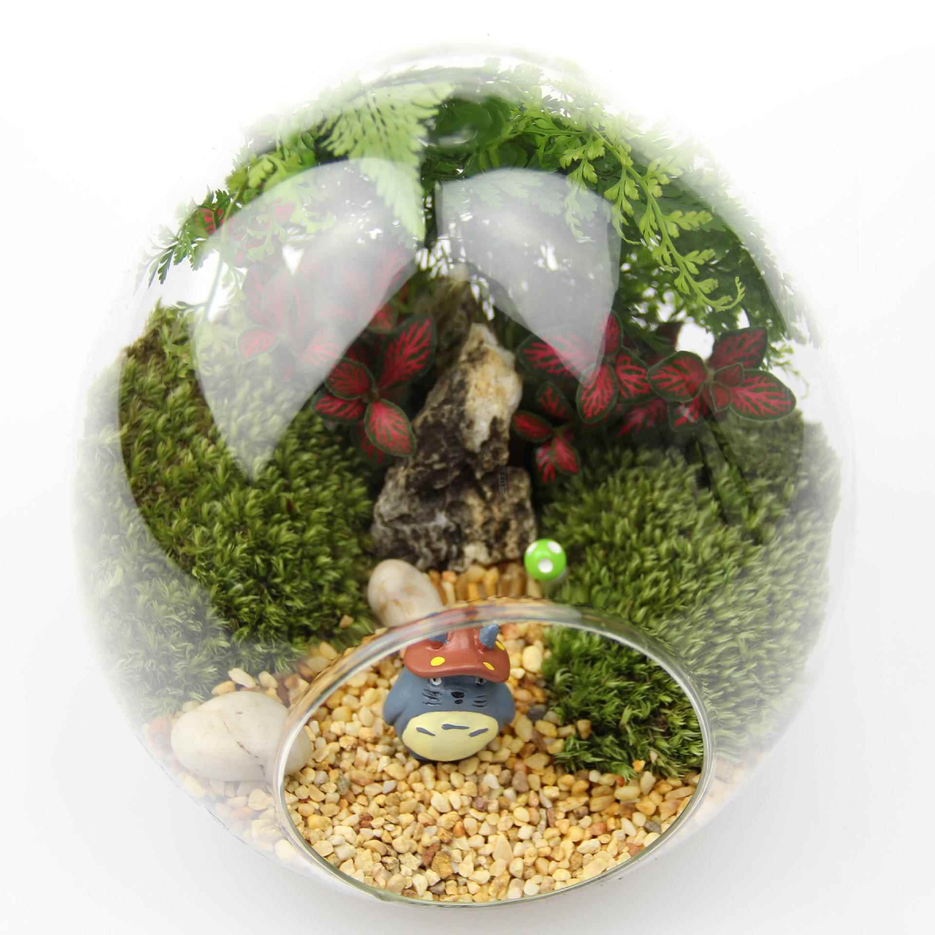 创意礼品礼物苔tz-20181藓包景观微套套装生态瓶材料大号鸡蛋装蛋