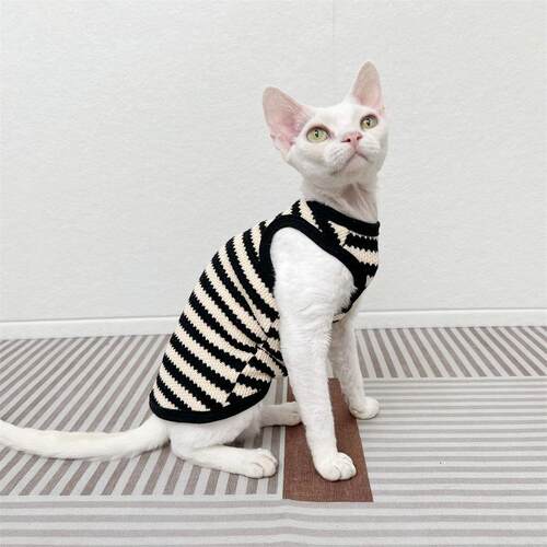 斯芬克斯无毛猫德文衣服覆古毛衣弹力无袖背心矮脚秋季bf设计感