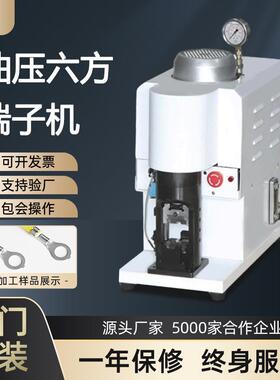 伺服液压30T油压六方端子机新能源压接机40T大平方充电桩线柳接机