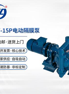 供应电动隔膜泵DBY-15P不锈钢304316L材质耐腐蚀化工泵