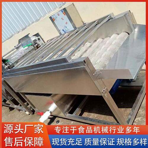 苹果橘子百香果清洗打蜡机  生蚝海蛎子压喷淋毛辊清洗机