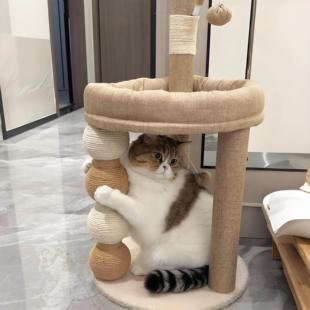 猫爬架猫窝一体耐抓磨不掉屑猫抓柱家用小户型不占地猫立式猫抓板