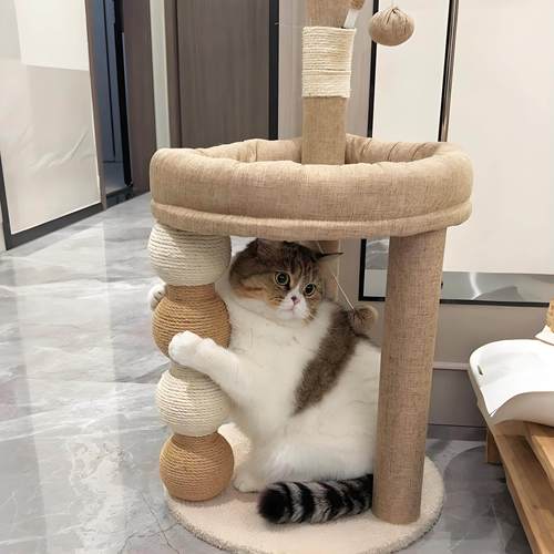 猫爬架猫窝一体耐抓磨不掉屑猫抓柱家用小户型不占地猫立式猫抓板