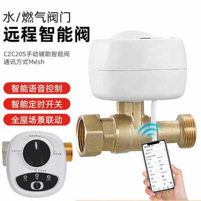 全屋防淹前置过滤器净水器专用漏水保护器电动球阀漏水自动关水阀