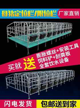 母猪定位栏带漏粪板猪用落地半限位栏加厚热镀锌养殖猪场圈围栏杆