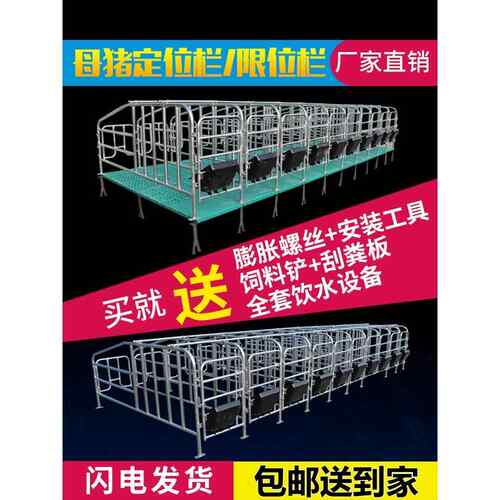 母猪定位栏带漏粪板猪用落地半限位栏加厚热镀锌养殖猪场圈围栏杆