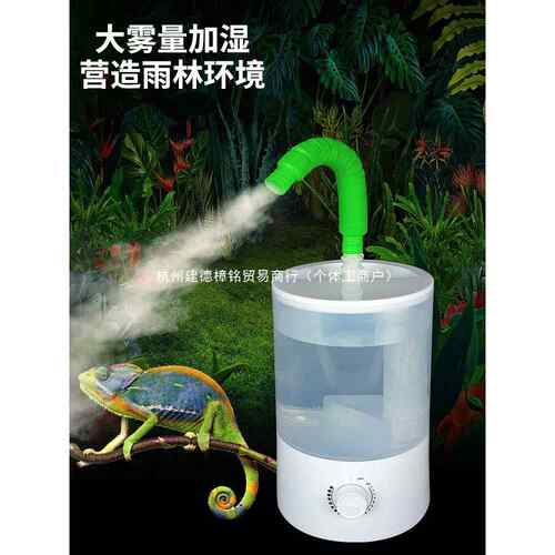 爬宠加湿器带管爬虫陆龟蜥蜴热带爬行动物增湿器变色龙乌龟箱宠物