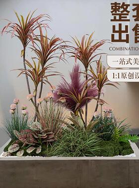 网红绿植造景仿真巴西铁植物室内客厅橱窗落地绿植景观假植物摆件