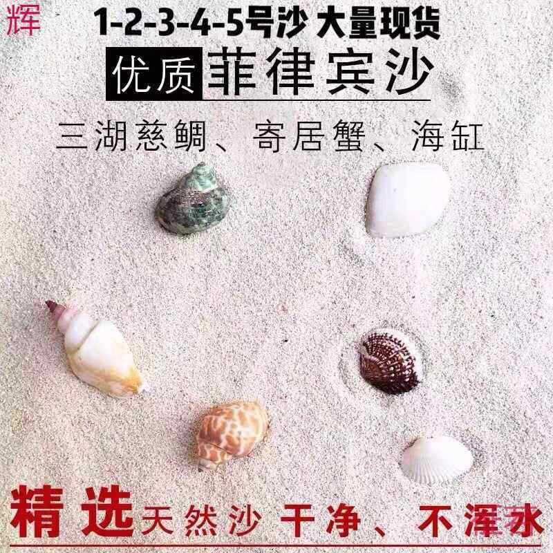 珊瑚砂鱼缸底壳三湖海沙海缸造景装饰三湖慈鲷寄居蟹一件