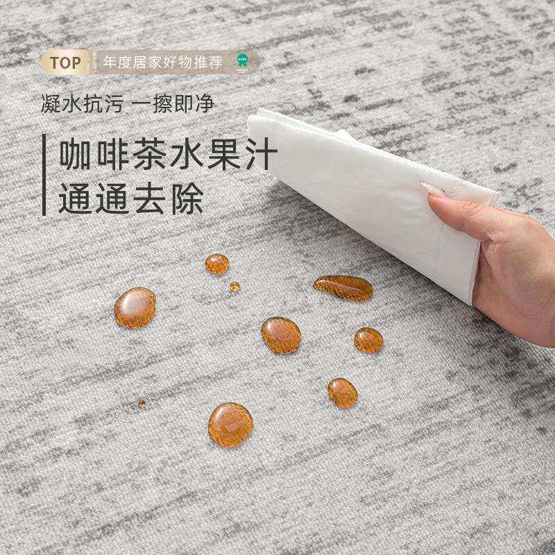 地毯客厅2025新款免洗可擦意式轻奢极简高级防水防污卧室沙发地毯