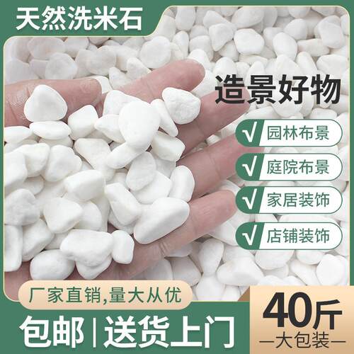 鹅卵石白色石子石子石头石头粗沙