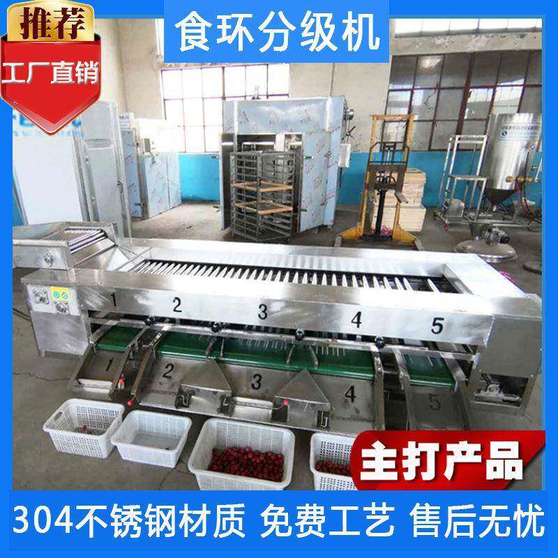 大型洋葱分级机胡萝卜大小分级机农产品分级机分选机