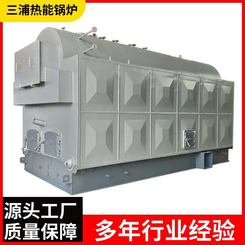 全自动生物质蒸气锅炉2.5吨4吨6吨燃柴燃生物质两用蒸汽锅炉