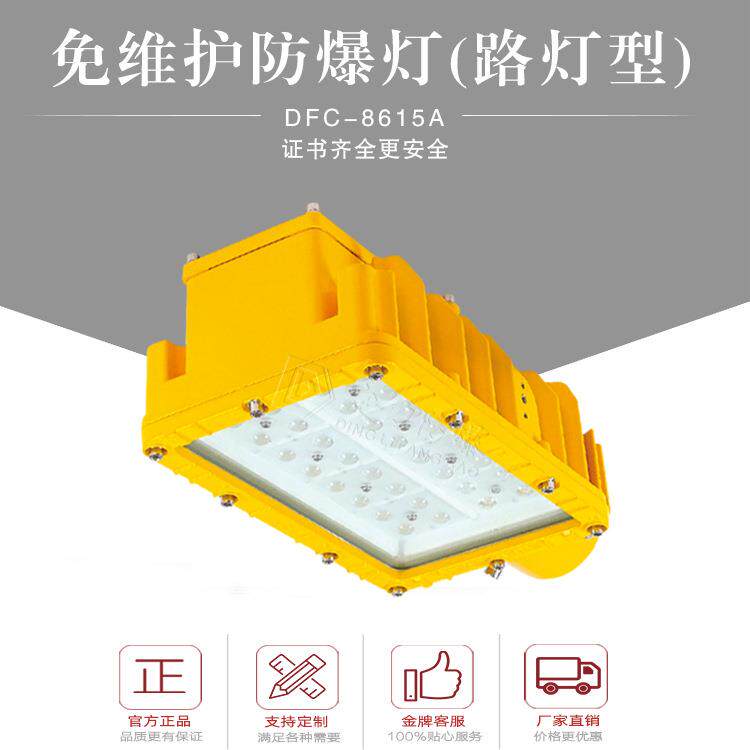 高效80W100W防爆路灯头60口径灯杆路灯12V24V6V48V单臂双臂
