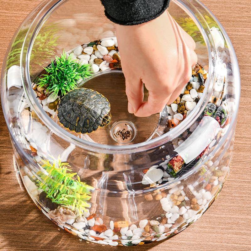 热推 微景观造景乌龟饲养缸耐摔塑料透明 带爬梯寄居蟹两栖生态缸