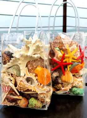 天然海螺壳人造海星包装鱼缸景观水族馆装饰沙滩玩具儿童礼物