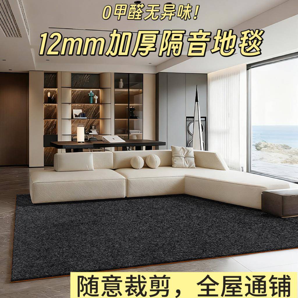 方形加厚隔音地垫跑步机跳绳大面积全铺钢琴架子鼓吸音静音地毯