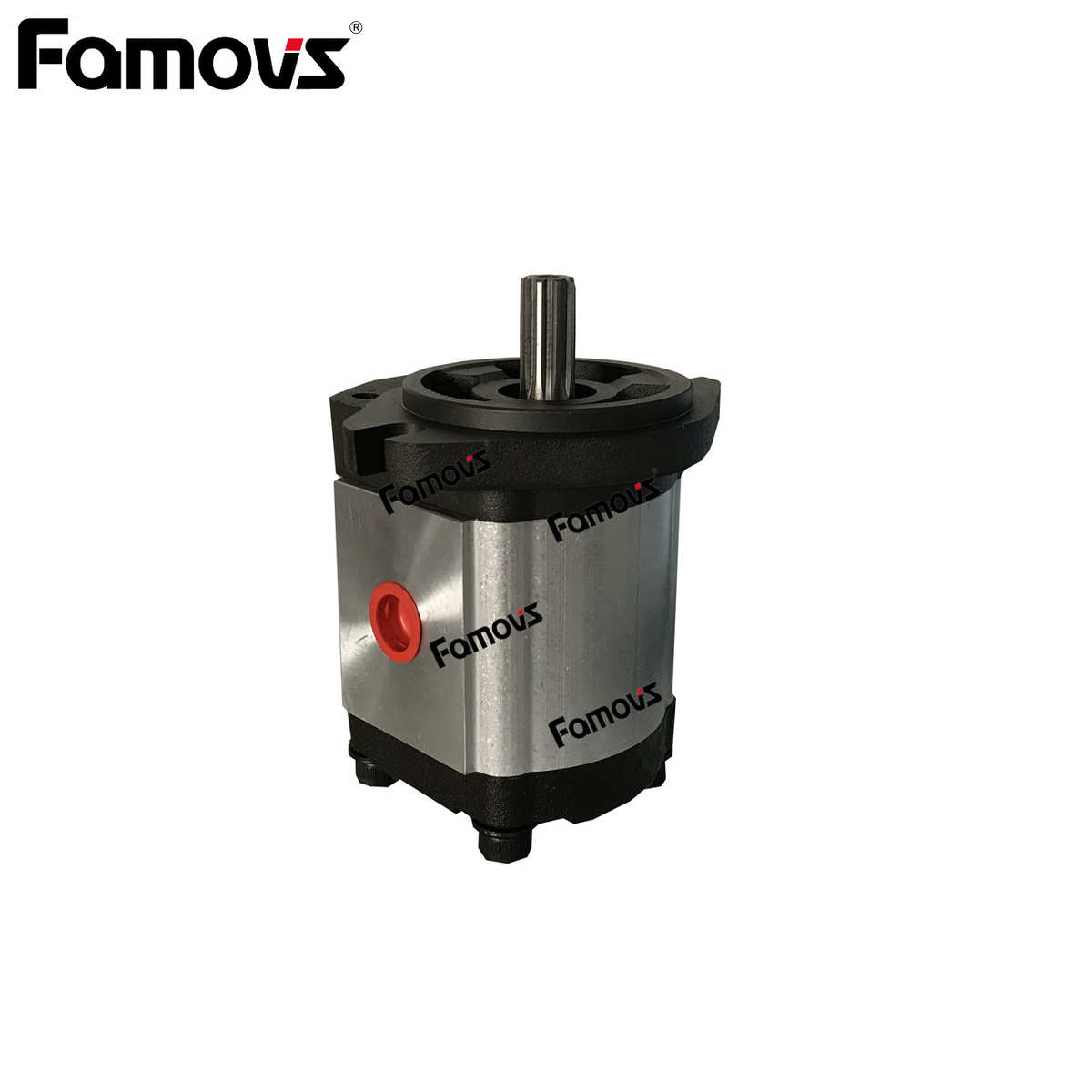 2GG1P22R 台湾Famovs 高压齿轮泵 高压油泵2GG1P  质保一年