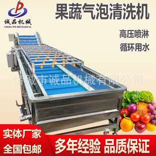商用果蔬气泡清洗机酸笋海带脱盐加工设备大型山竹砂糖橘清洗机器