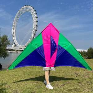 潍坊金鹏风筝厂家直销量大优红白大三角大草原树枝杆微风易飞kite