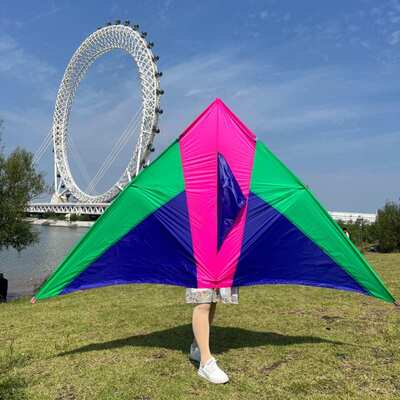 潍坊金鹏风筝厂家直销量大优红白大三角大草原树枝杆微风易飞kite