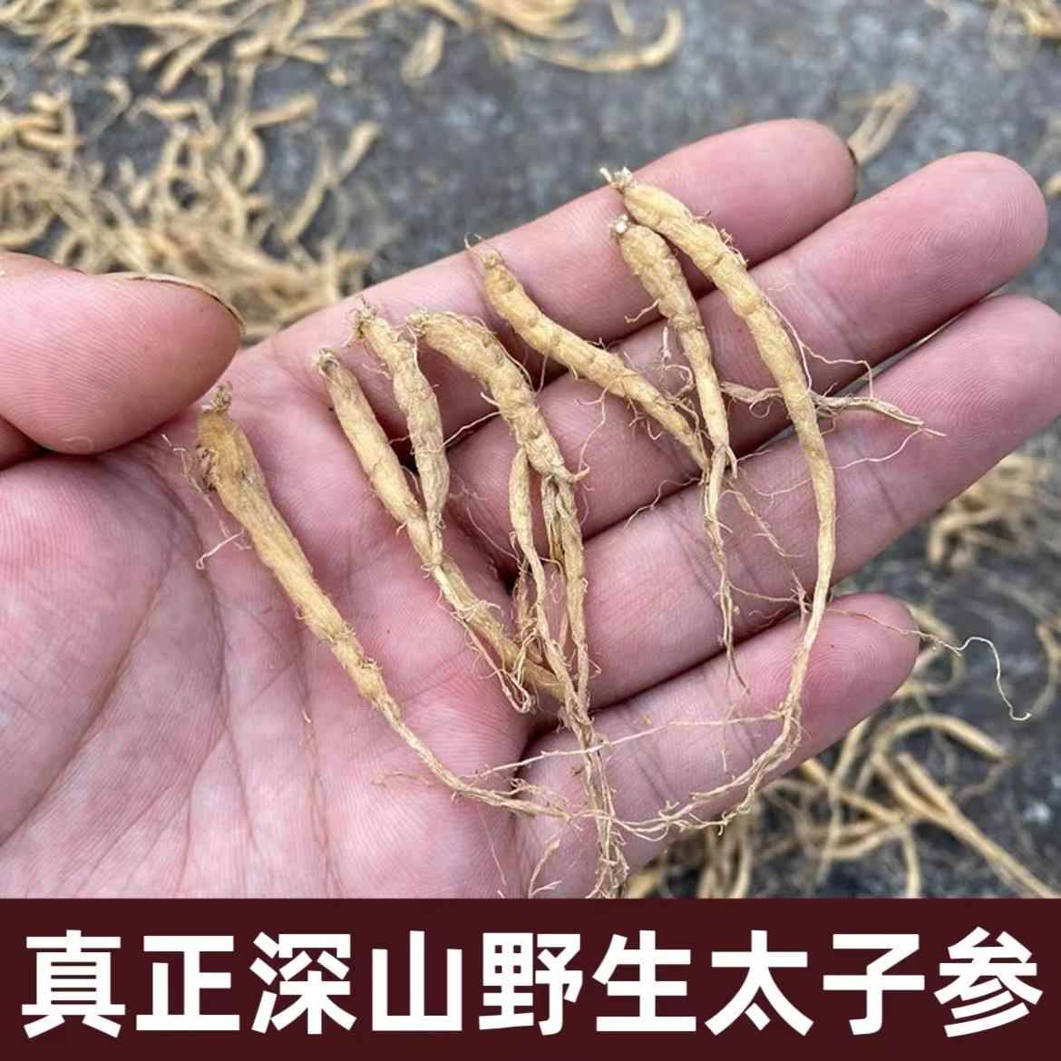 野生太子参孩儿参童参250g儿童煲汤料农家自晒无硫滋补中药材正品