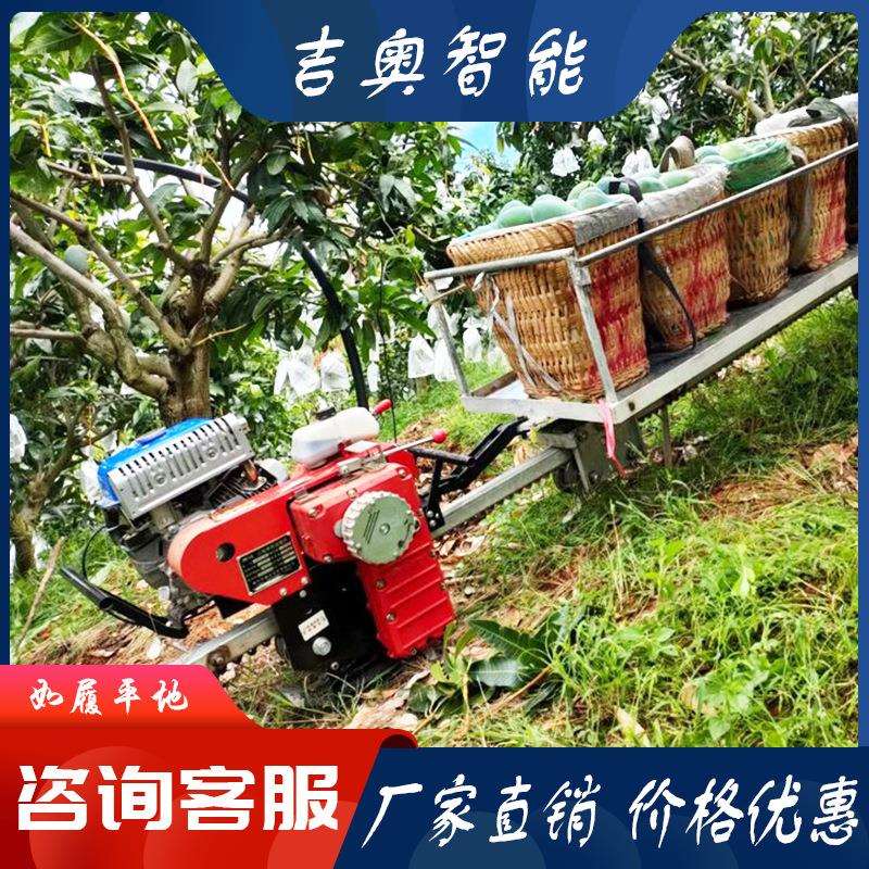 农业单轨运输车 汽油动力爬坡搬运车 山地装载果品牵引车