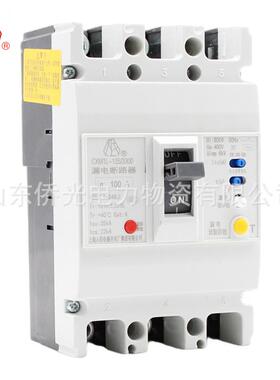 上海人民电器开关CXM1L-125 250/4300 100A160A250A漏电断路器
