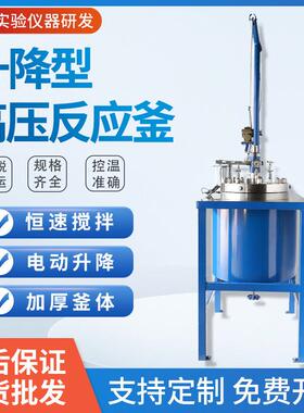 厂家定制不锈钢高压反应釜2L实验室小型高压反应釜升降加氢反应釜