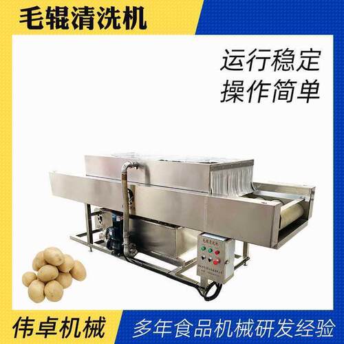 全自动 莲藕去泥清洗洗机 大姜平行毛辊清洗豆用小ZLQ型土毛刷清