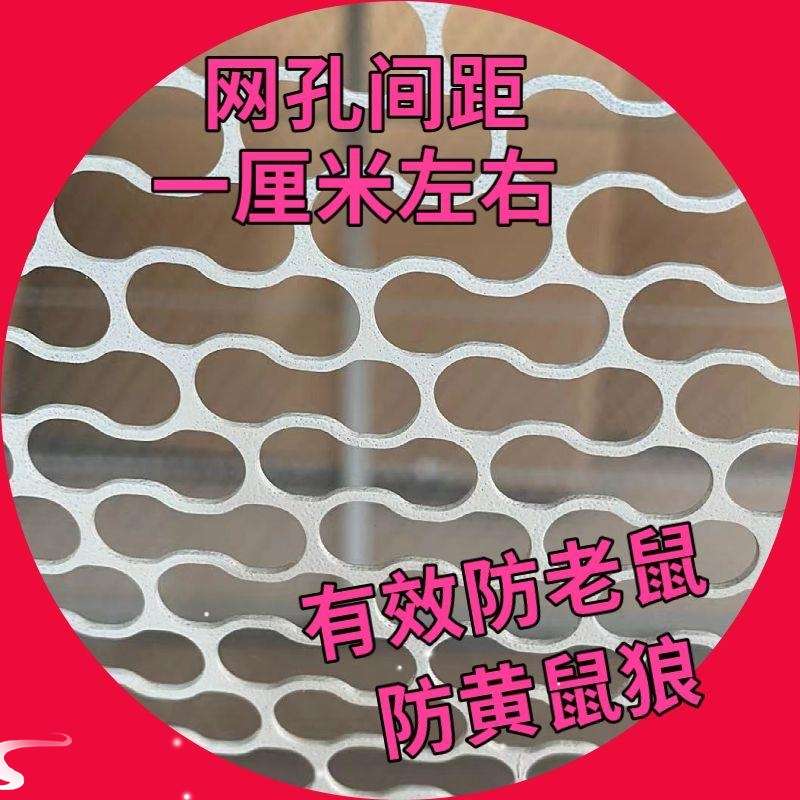 防黄鼠狼鸡笼鸡窝铁丝网鸽子笼养鸡鸡舍大号加密加厚鸡笼子家用