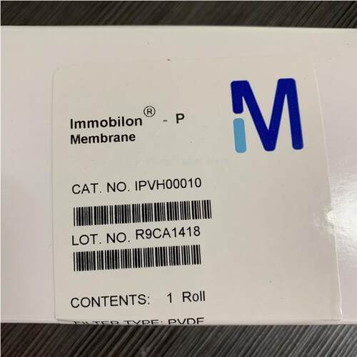 密理博PVDF膜 0.45um Millipore转印膜 pvdf膜IPVH00010 印迹膜