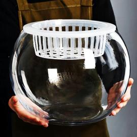 水培花物定植篮玻璃透明瓶绿萝通花用水养容器盆圆TBV球形鱼缸植