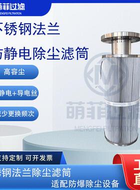 工业不锈钢滤芯法兰连接精密过滤芯化工/制/食品行业用滤